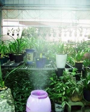 半天霧,加濕機,增濕機,TL-3600,TL-5500