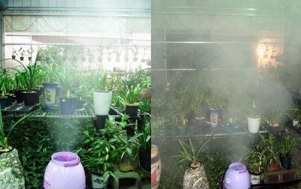 精緻農業新革命！高出霧【加濕機】保持科學化濕度需求