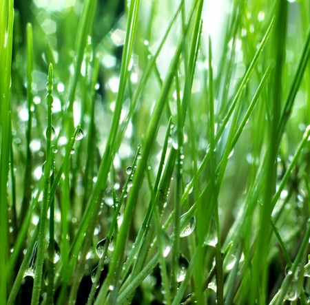 擴散型噴霧器讓您的家園多采多姿