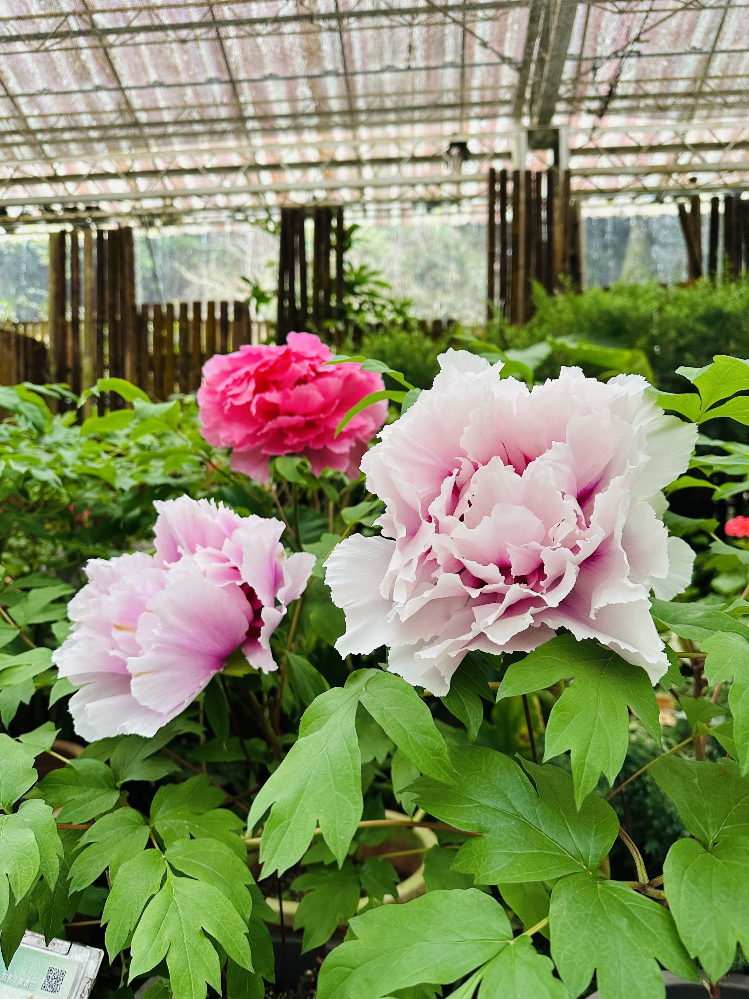 台稜園藝器材：精準控濕，打造您的綠色夢想