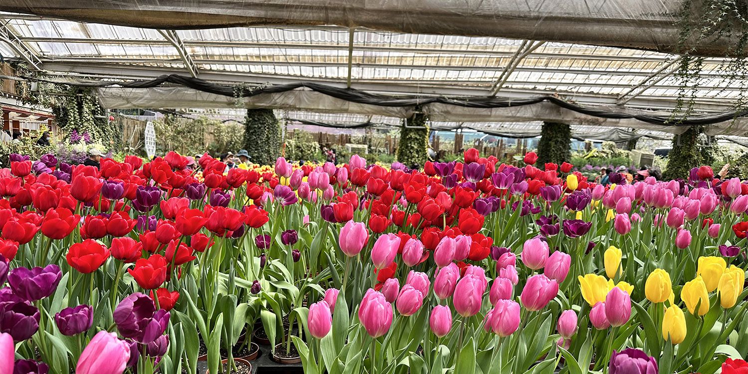 台稜園藝器材：精準控濕，打造您的綠色夢想