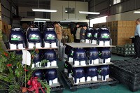 串聯新鮮的冷凍空調器材，完整實踐產地直送的商品